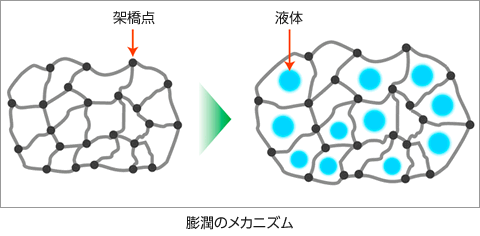 膨潤のメカニズム