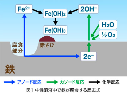 中性溶液中で鉄が腐食する反応式の説明図