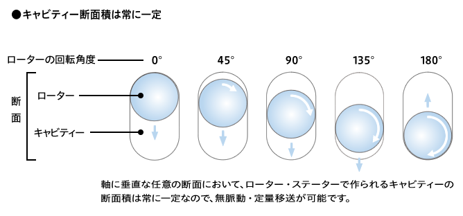 ローターとステーターの断面図